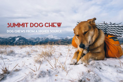 all natural dog chews from the himalayas